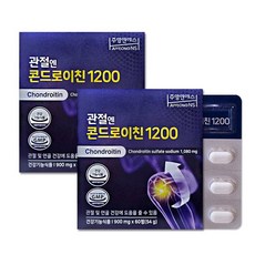 관절엔 콘드로이친 1200 ( 900mg x 60정 x 2박스), 2박스, 60개