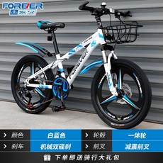 비싼자전거