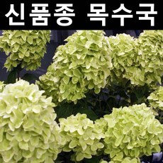 94d75e8ca43e3ffebfc994f85e3a4ba3026ad0bffc762812443e70d8a27a.jpg