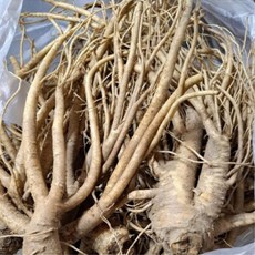 아삭한 식감과 은은한 단맛 산지직송 국내사 도라지, 1박스, 1kg