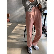 옷주름펴는
