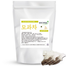 천지가약초 모과차 삼각티백, 100개입, 4개