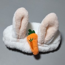 오리세안밴드