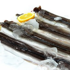통영 바다장어 1kg 1~3미 (손질후 700g) 소스제공, 1개, 700g