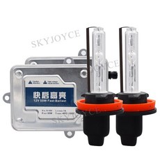 라이언도어라이트