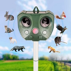 추천10 뱀퇴치기