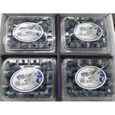 햇 출하 현지직송 주문시 바로 수확 영동 킹블루베리 국산 블루베리 특 (1kg) [복드림마켓]