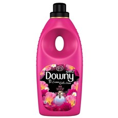 골든듀디바인블룸