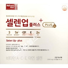 셀라틴솔루션n