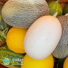 [우연팜] 고령성산 고당도 양구 설향 하미과 메론 2kg 개별판매 혼합구성 3kg 5kg