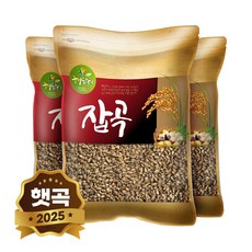 현대농산 국산 흑보리 검정찰보리, 3개, 500g