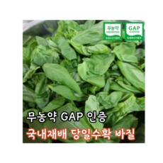 생바질