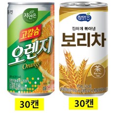 참맑은 보리차 175ml(30캔) + 고칼슘오렌지캔 180ml(30캔), 60개, 175ml
