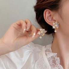 이승연귀걸이