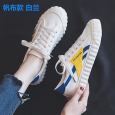 블루캔버스단기렌탈