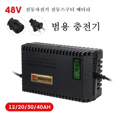 스마트 범용 T잭 전동자전거 전동스쿠터 배터리 충전기, 48V12AH