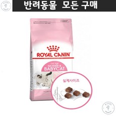 뱅갈 랙돌 반려건식 코리아숏헤어 임신묘 자연면역력강화 뇌발달사료 댕냥이건식사료 건강한식사