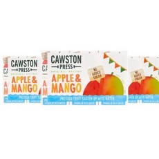 (영국직배) 코스톤 프레스 애플 & 망고 주스 드링크 음료 200mlx3개입 3팩 Cawston Press Press Apple & Mango Juice Drink