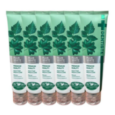 덴티스테 뉴 플러스화이트 튜브형 치약, 6개, 160g