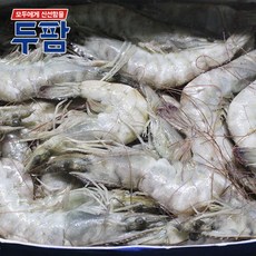두팜조개