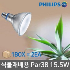 필립스par38