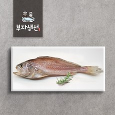 진해중앙시장