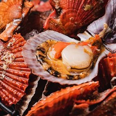 대한민국농수산가리비