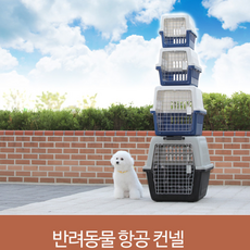 대형견켄넬 강아지 대형견 중형견 켄넬 캔넬 컨넬 케이지 이동장 캐리어, 반려동물 항공 켄넬 이동장 중형 L-2#