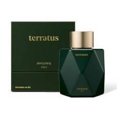 실내방향제100ml TOP01