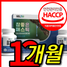 식약처 식약청 인증 인정 100 프로 % 이병헌 이만정 위 건강 엔 프롬 바이오 맥스 매스틱 메스틱 매틱스 매스티나 메틱스 검 그리스 키오스 원물 캡슐 캡술 정 4 박스 12 개월