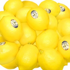 정품 팬시 레몬 100g 10개 / 30개 / 50개 / 70개 레몬차 레몬청 레몬에이드 장식용 레몬