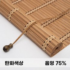 비즈커튼 TOP01