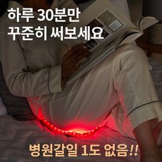 에버조이 건식 좌훈 족욕기, JOY-010