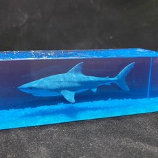 대시보드워터볼