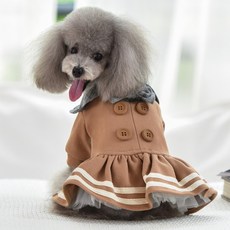 독스테일