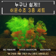 레드카붐바