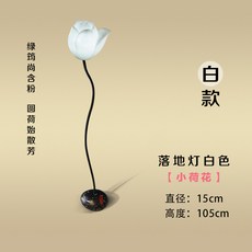 태양광연꽃