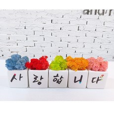 e33684683ea2348a25eae47c4529484b1f6808ed82eee5efb0c364c7e0ba.jpg