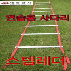 금우 스텝레더/연습용 사다리 민첩성/순발력강화/축구.농구.기타 체력훈련용/6m/학교
