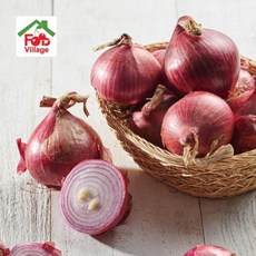 푸드빌리지 단단하고 아삭한 햇 자색양파, 1개, 4kg 특