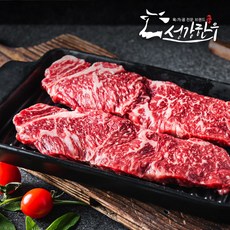 1등급 숙성한우 채끝등심 300g