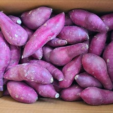 찬영푸드 햇 밤고구마 전남 고구마, 1박스, 밤고구마 특상(100~300g) 3kg