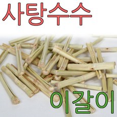 햄스터이갈이옥수수