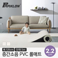 파크론110v