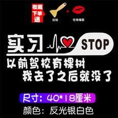 차량용스티커 뒷면의 언니 작은오빠 차량스티커 여성운전사 차체 셀럽 웃긴 아이디어 문자 개성 종이, T18-실습-이전 운전면허학원 나무가 있다 ...(반사광선 실버화이트)