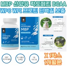 MBP 산양유 동물성 식물성 단백질 운동할때 헬스 보충 노년 노인 중년 여성 남성 30대 40대 50대 60대 운동 보충제 보조제 BCAA 필수 아미노산 저분자 어린 콜라겐 펩타이드, 1개, 36g