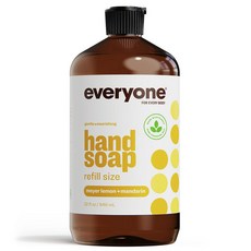 에브리케어핸드솝리필