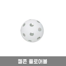 젤존 하키스틱 하키퍽 하키공 플로어볼