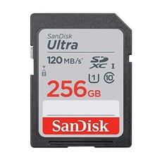 샌디스크sdxcclass10