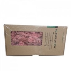 플라워디퓨저원데이클래스